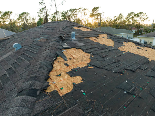 Best Chimney Flashing Repair  in Cheraw, SC