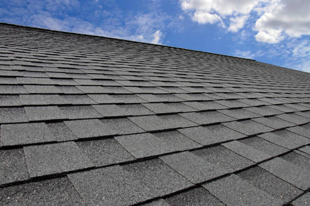 Trusted Cheraw, SC Roofing Services Experts